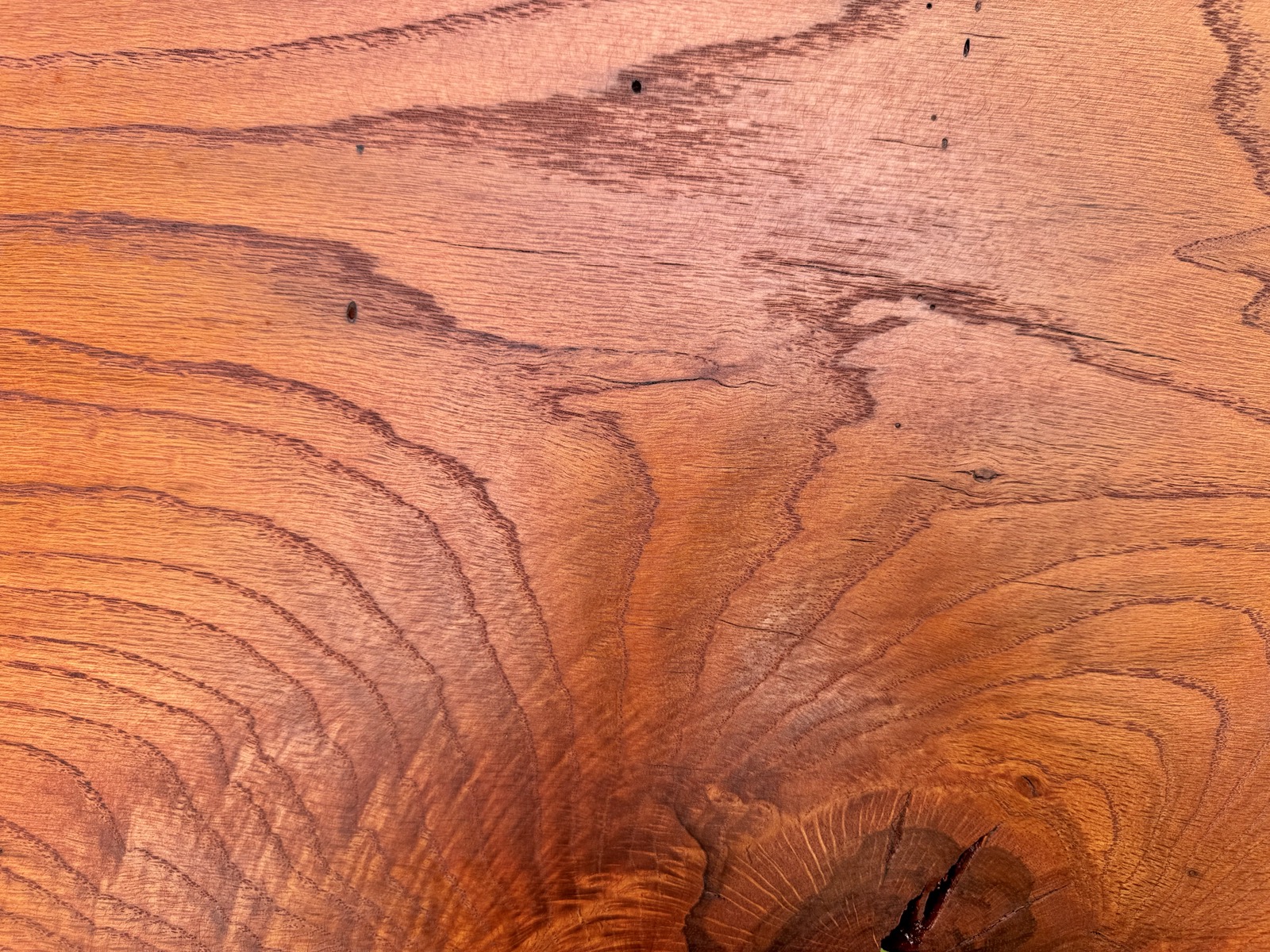 close detail of the cathedral grain and ray fleck under the finish
