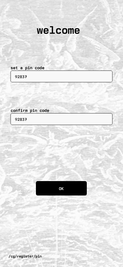 entering a valid pin code