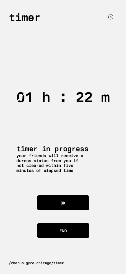 what it looks like when a timer is in progress